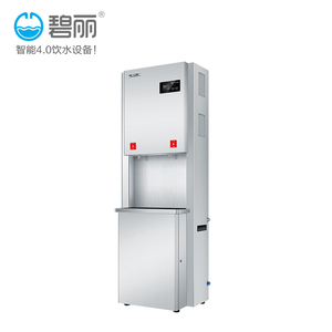 浩泽碧丽2龙头一体式净水开水器